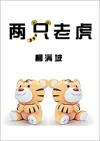 兩衹老虎小说封面