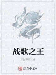 戰歌之王 小說封面